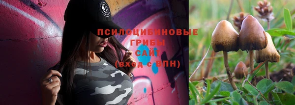 мет Абинск