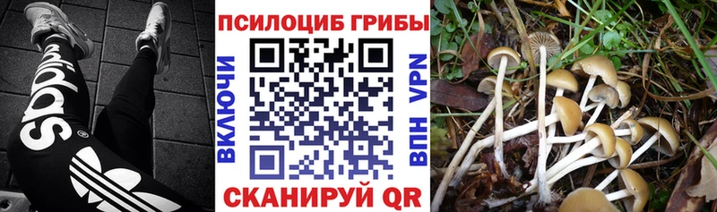 Псилоцибиновые грибы ЛСД  наркотики  Туринск 